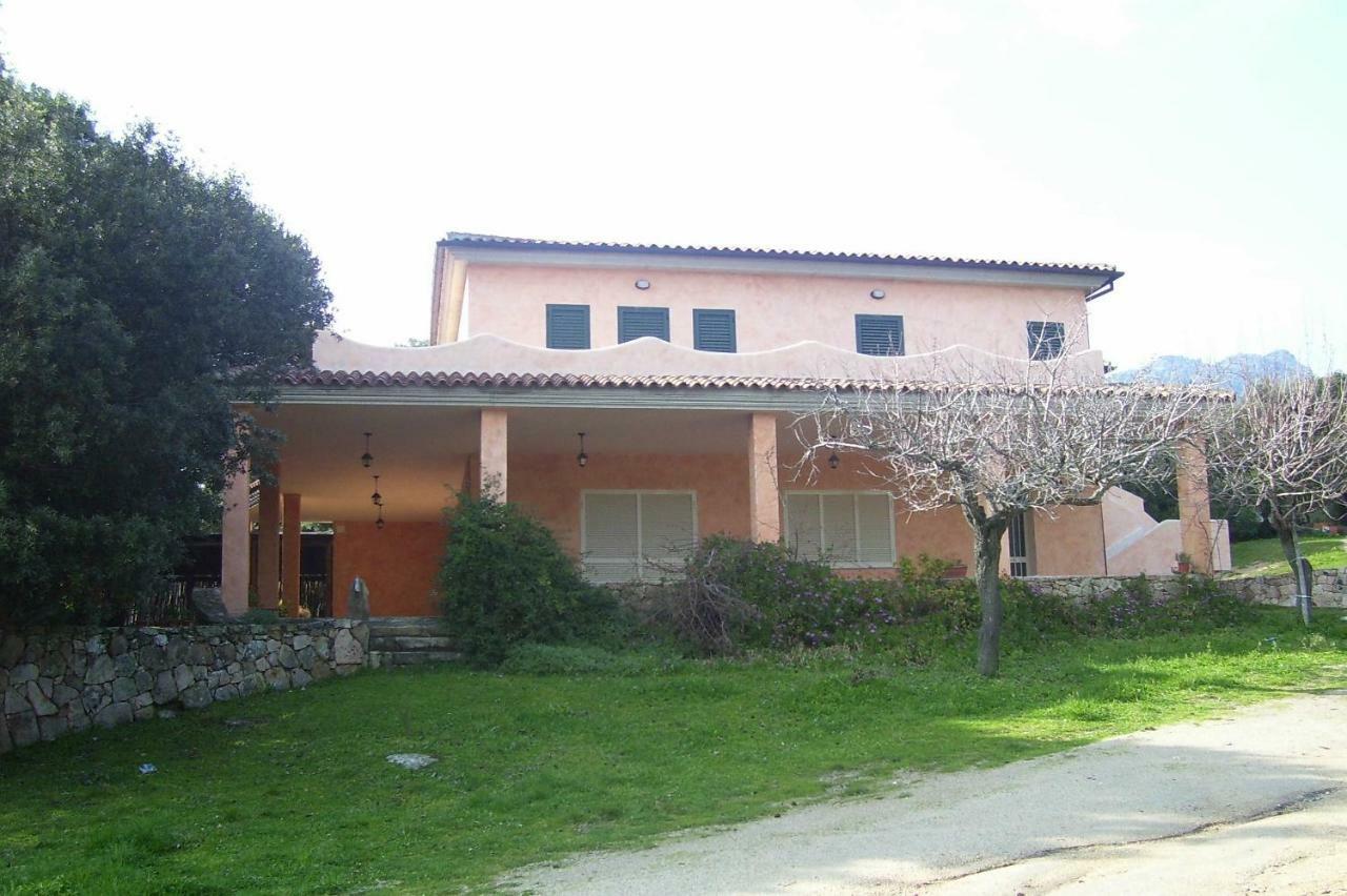Fumu Ludurru Farm Stay Padru Extérieur photo