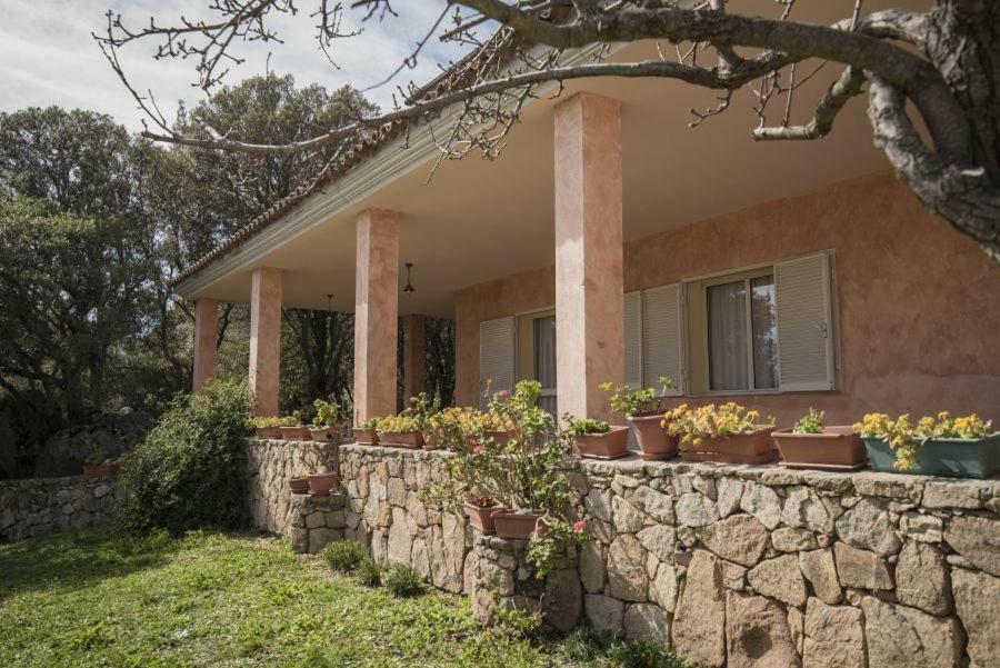 Fumu Ludurru Farm Stay Padru Extérieur photo